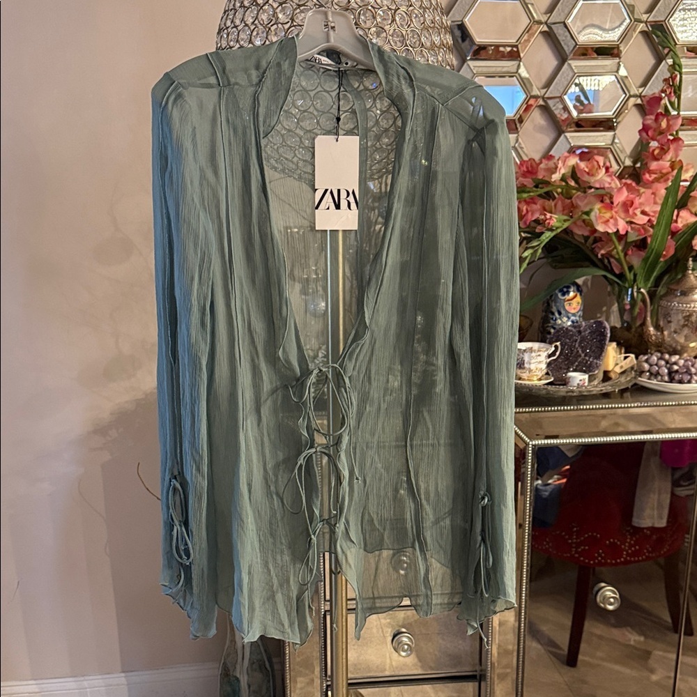 Zara Light Green Sheer Tie Blouse XL NWT